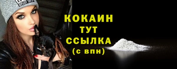 не бодяженный Новодвинск