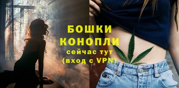 мдма Новозыбков