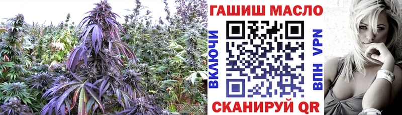 Купить  Лукоянов  Дистиллят ТГК THC oil 
