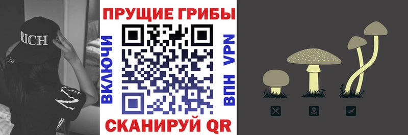 Купить где  Лукоянов  Галлюциногенные грибы GOLDEN TEACHER 